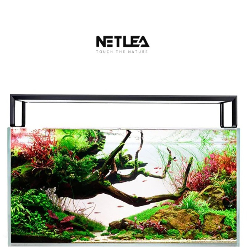 Netlea AT5S V3 Smart Wifi APP  - Wifi Led Dimmer ulasan dan harga