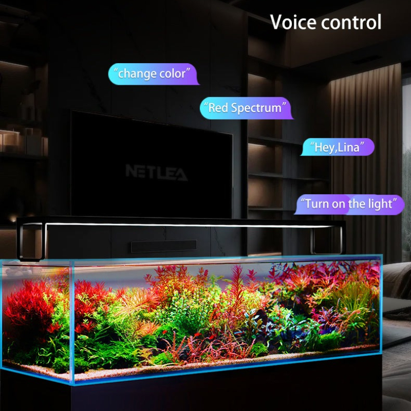 Netlea AT5S V3 Smart Wifi APP  - Wifi Led Dimmer ulasan dan harga