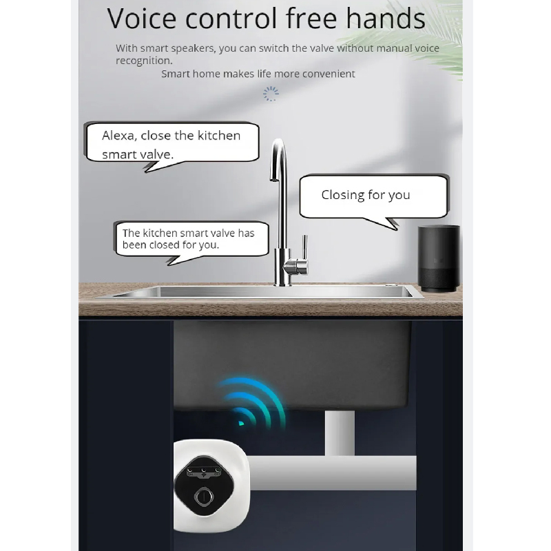 eWelink APP Wifi Water Valve S - Smart Home Google Assistant ulasan dan harga