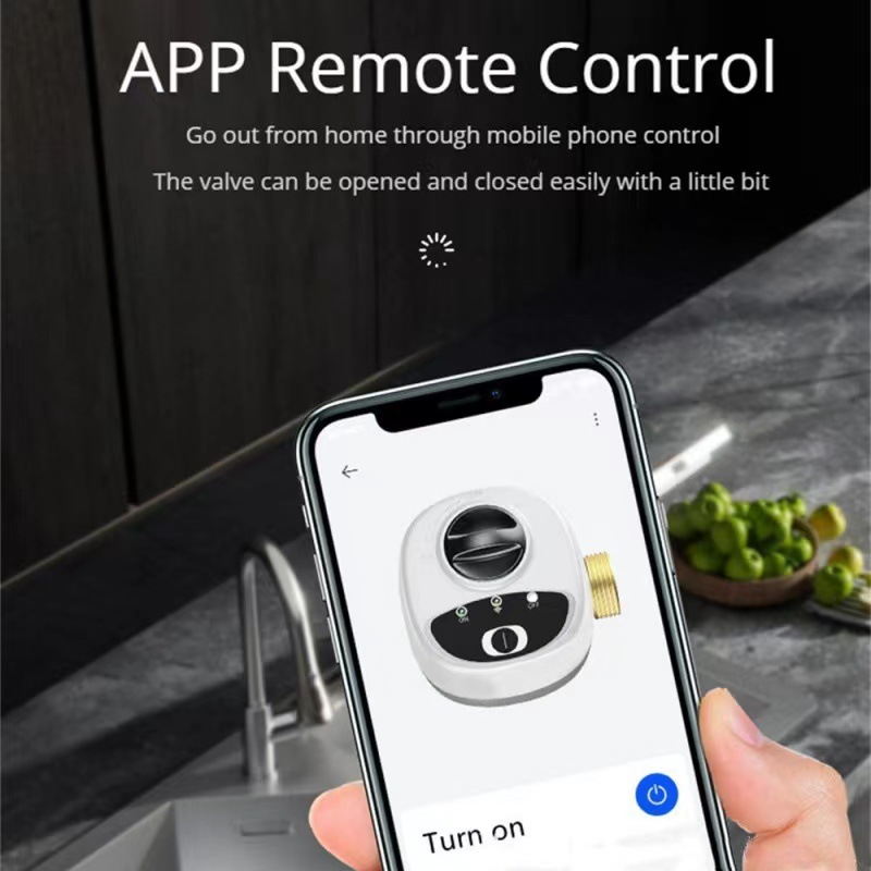 eWelink APP Wifi Water Valve S - Smart Home Google Assistant ulasan dan harga