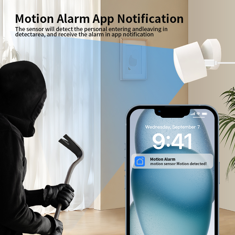 Zigbee or Wi-Fi Human Presence - Smart Home Monitor ulasan dan harga