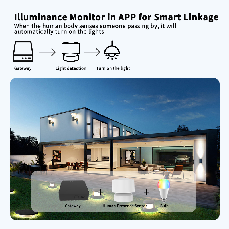 Zigbee or Wi-Fi Human Presence - Smart Home Monitor ulasan dan harga