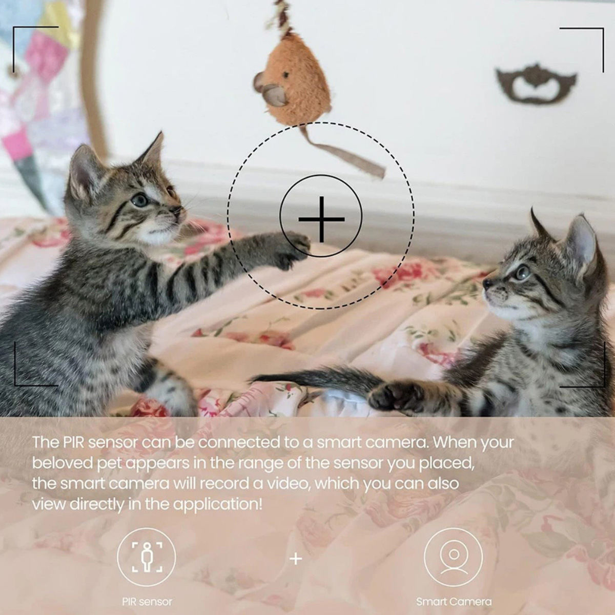 ZigBee 3.0 PIR Motion Sensor W - Smart Home Google Assistant ulasan dan harga
